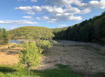 new-york/southern-tier/attraction/binghamton-university-nature-preserve