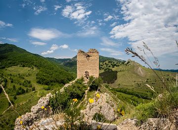 romania/alba/attraction/trascau-fortress