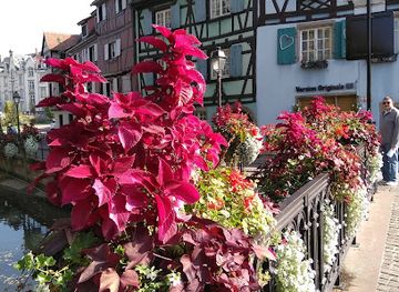 france/colmar/attraction/museum-of-natural-history-and-ethnography