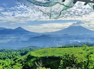 philippines/bicol-region/attraction/tigbao-highlands