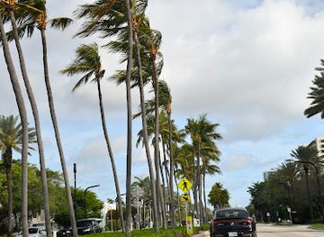 florida/miami/attraction/all-about-miami