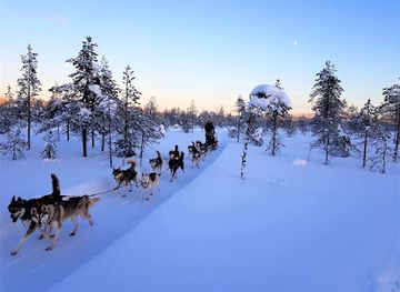 finland/lapland/attraction/arctic-circle-husky-park