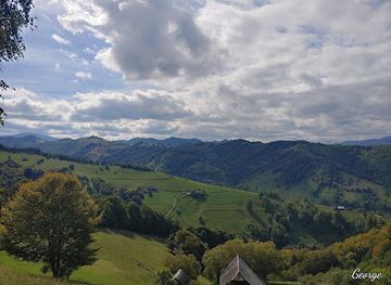 romania/buzau/attraction/vulcanii-noroiosi-de-la-berca-fierbatorile