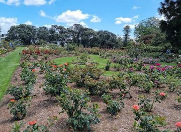 new-zealand/auckland/attraction/dove-myer-robinson-park-parnell-rose-garden