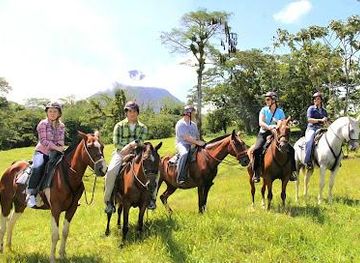 costa-rica/monteverde/attraction/arenal-wilberth-stable