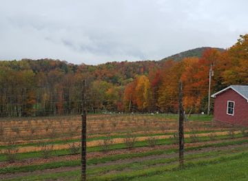 vermont/northeast-kingdom/attraction/sweet-seasons-farm-artisan-confections