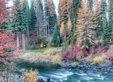 idaho/ponderosa-state-park/attraction/mccall-fish-hatchery-visitor-center