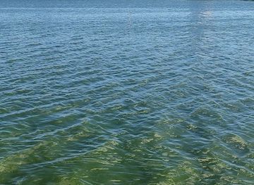 madagascar/atsinanana/attraction/masay-lakeview