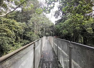 malaysia/kedah/attraction/tree-top-walk-sungai-sedim