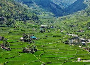 philippines/sagada/attraction/hungduan-rice-terraces