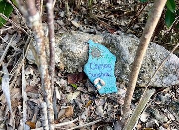 the-bahamas/exuma/attraction/art-trail-from-bay-to-beach