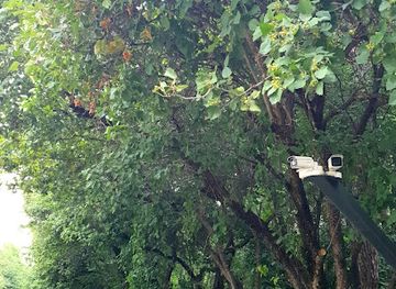 kazakhstan/big-almaty-lake/attraction/boyaryshnikovaya-alleya