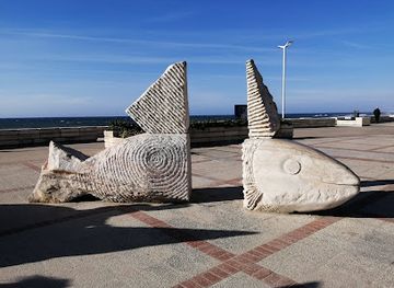 portugal/beira-litoral/attraction/praia-do-furadouro