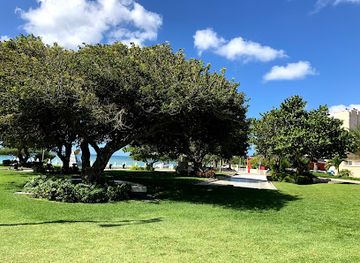 aruba/eagle-beach/attraction/boy-ecury-park