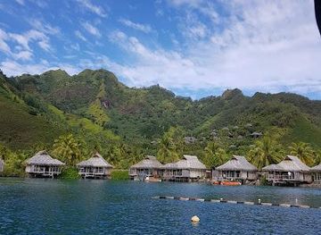 french-polynesia/moorea/attraction/lagoon-explorer