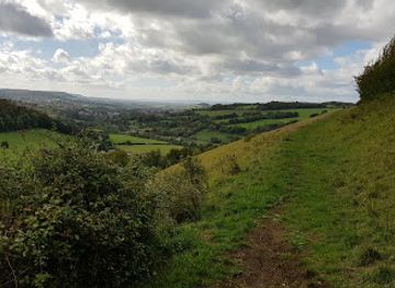 united-kingdom/the-cotswolds/attraction/swift-s-hill-nature-reserve