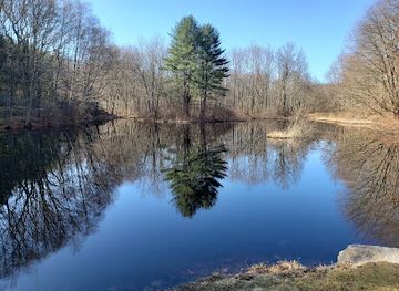 connecticut/bridgeport/attraction/roosevelt-forest