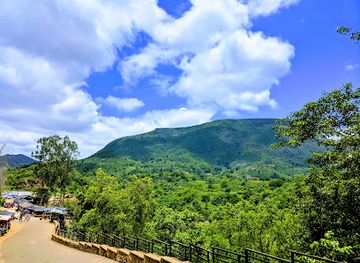 india/eastern-india/attraction/borra-caves