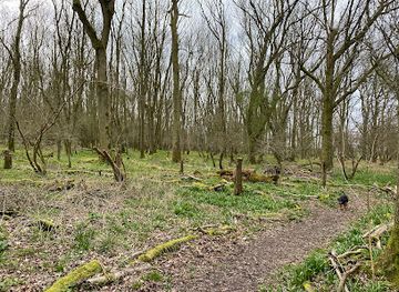 united-kingdom/middlesex/attraction/hawkins-wood