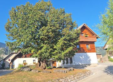 slovenia/carinthia/attraction/vrba