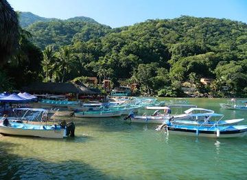 mexico/puerto-vallarta/attraction/boca-de-tomatlan