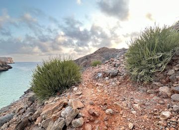 oman/al-hajar-ash-sharqi/attraction/al-kham-beach