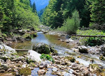 romania/bihor-mountains/attraction/izbucul-tauzului