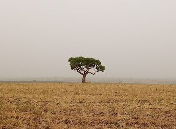 uganda/kigezi/attraction/aswa-lolim-game-reserve