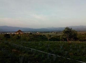 mexico/guadalajara/attraction/unesco-world-heritage-site-agave-landscape-and-ancient-industrial-facilities-of-tequila