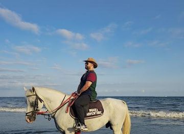 indonesia/bali/attraction/bali-horse-riding
