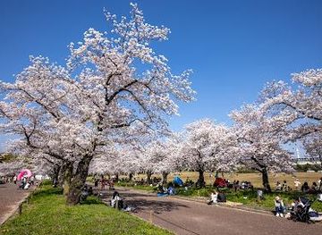 japan/osaka/attraction/expo-70-commemorative-park