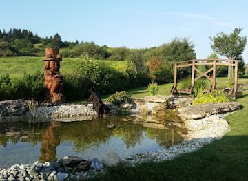 slovakia/besenova-thermal-park/attraction/mineralny-pramen-niznansky-medokys