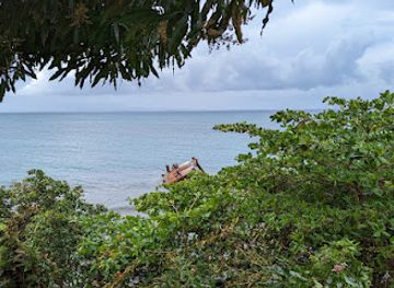 puerto-rico/vieques-island/attraction/playa-de-muertos-beach