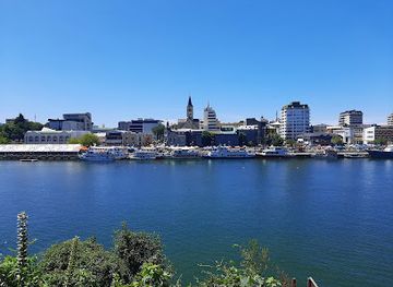 chile/los-rios-region/attraction/museo-de-la-exploracion-rudolph-amandus-philippi