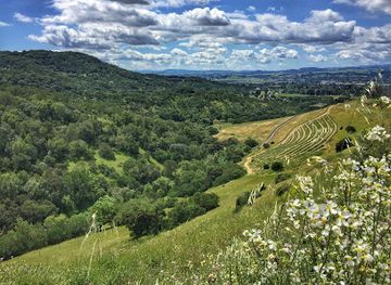 california/napa-valley/attraction/caldwell-vineyard-winery