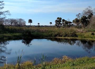 florida/lake-okeechobee/attraction/taylor-creek-nubbins-slough-conservation-area