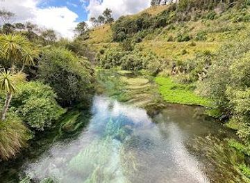 new-zealand/rotorua/attraction/te-waihou-blue-springs-whites-road-entrance