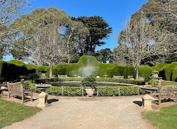 australia/mornington-peninsula/attraction/ashcombe-maze-lavender-gardens