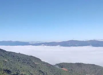 El descanso del Tigre