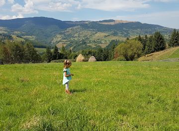 romania/salaj/attraction/arborele-sequoia