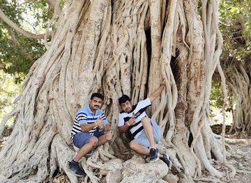 oman/musandam-governorate/attraction/madha-oman-rolla-farms