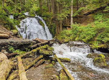 oregon/cascade-mountains/attraction/little-zigzag-falls