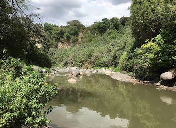 ecuador/napo-region/attraction/los-algarrobos-park