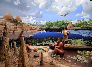 florida/northeast-florida/attraction/museum-of-florida-history
