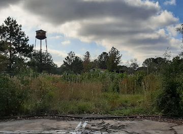 mississippi/the-capital-region/attraction/mississippi-river-basin-model