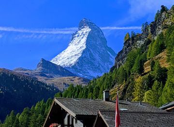 switzerland/valais/attraction/forest-fun-park-zermatt
