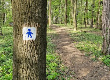 slovakia/trencin/attraction/skolsky-naucny-chodnik-prirodne-spolocenstva-v-lesoparku-brezina-v-meste-trencin