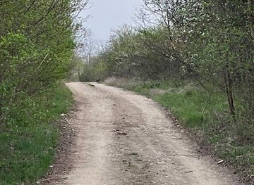 romania/crisana/attraction/drumul-roman