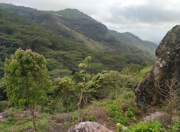 sri-lanka/ampara-district/attraction/rangala-treehouse