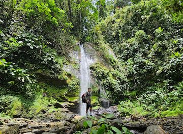 trinidad-and-tobago/asa-wright-nature-centre/attraction/double-river-waterfall